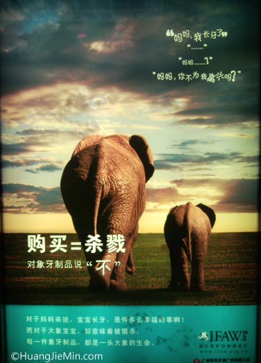 公益广告：妈妈，我长牙了